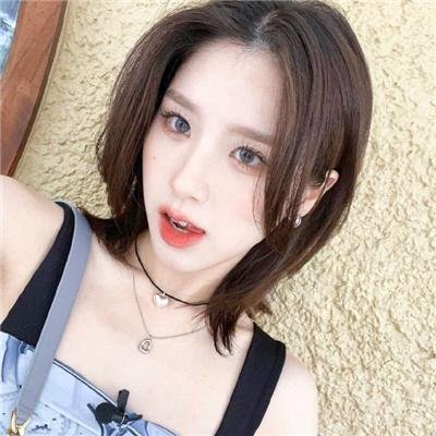 大道 在线观看